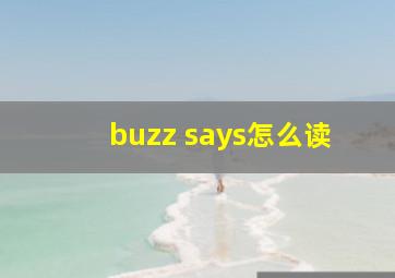 buzz says怎么读